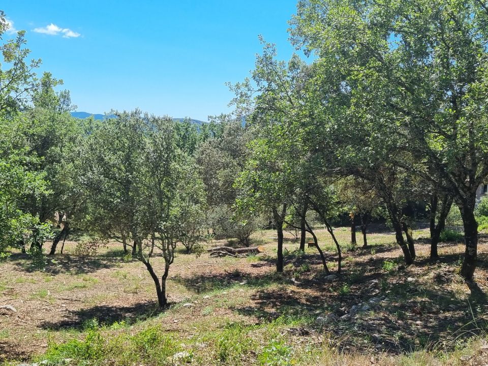 Helårsgrund i Moules-et-Baucels, Herault - foto 3