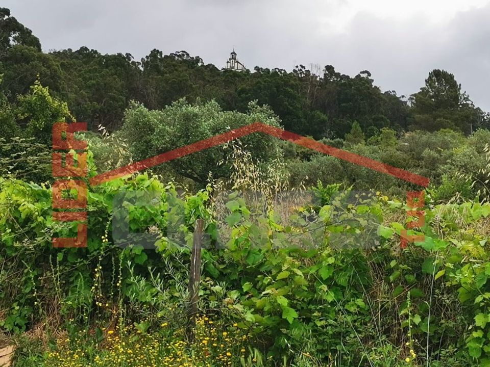 Terra a Vila Flor, Braganca - foto 1