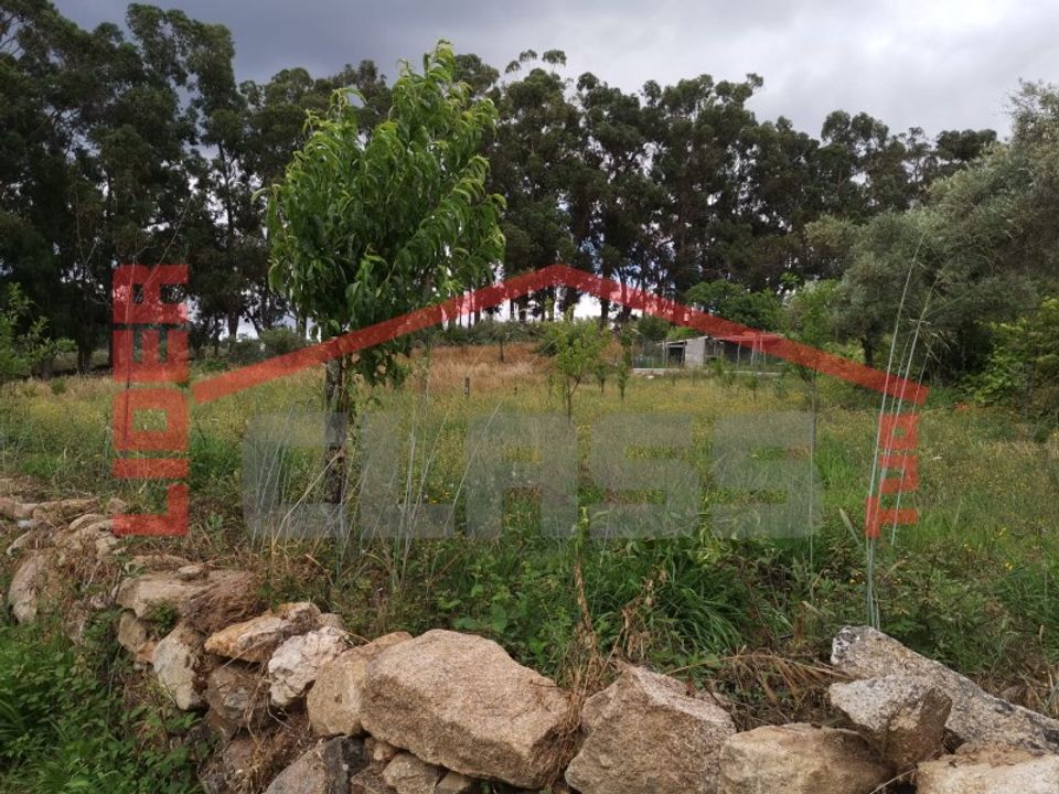 Terra a Vila Flor, Braganca - foto 2