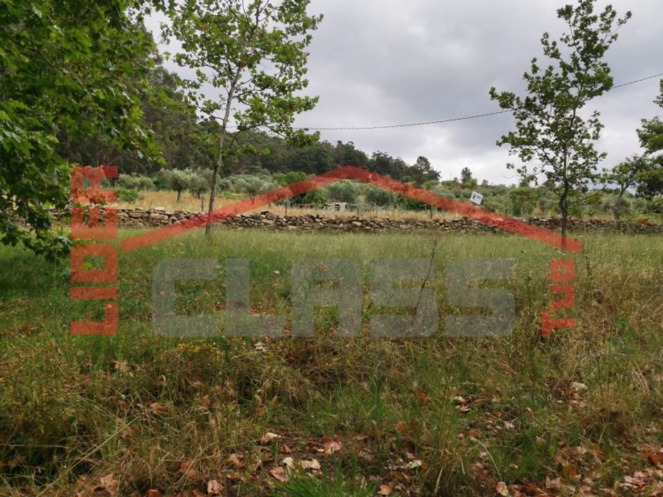 Terra a Vila Flor, Braganca - foto 3