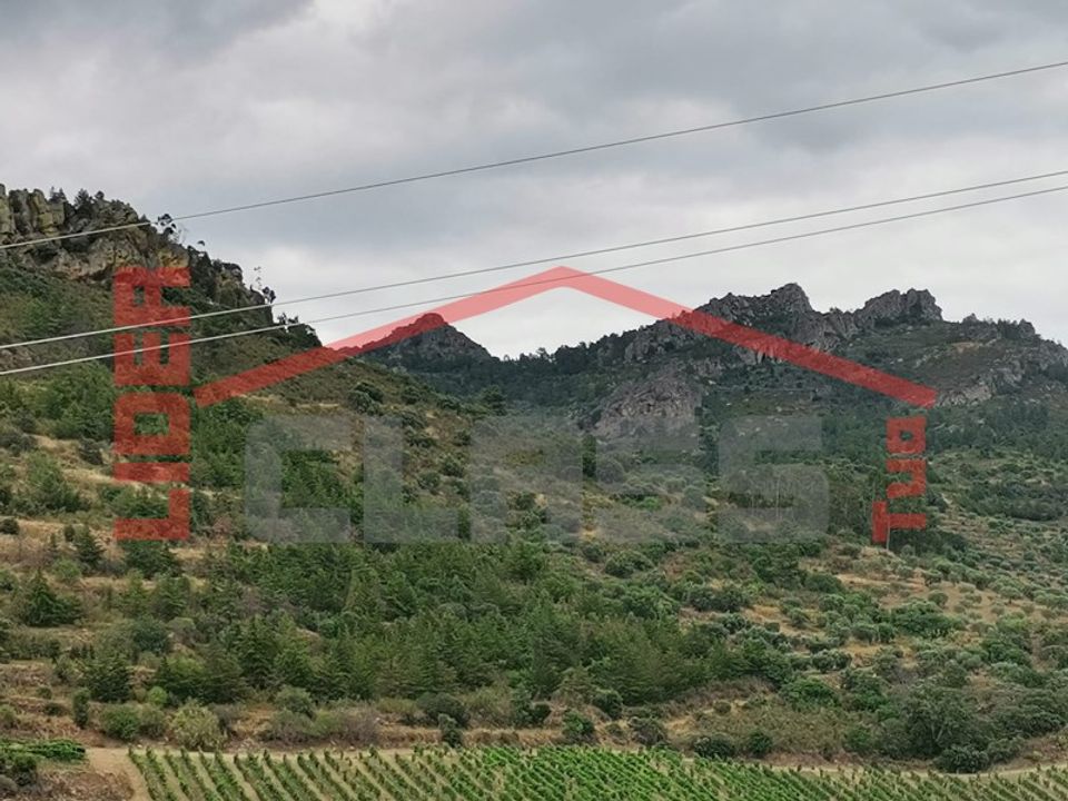 Terra a Vila Flor, Braganca - foto 5