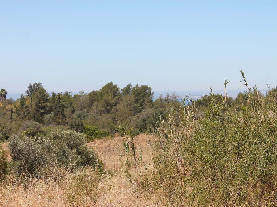 Helårsgrund i Estombar, Faro - foto 2