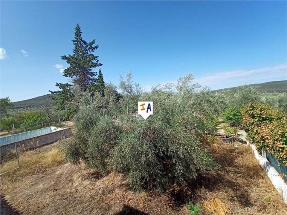 Cortijo i Cabra, Cordoba - bilde 3