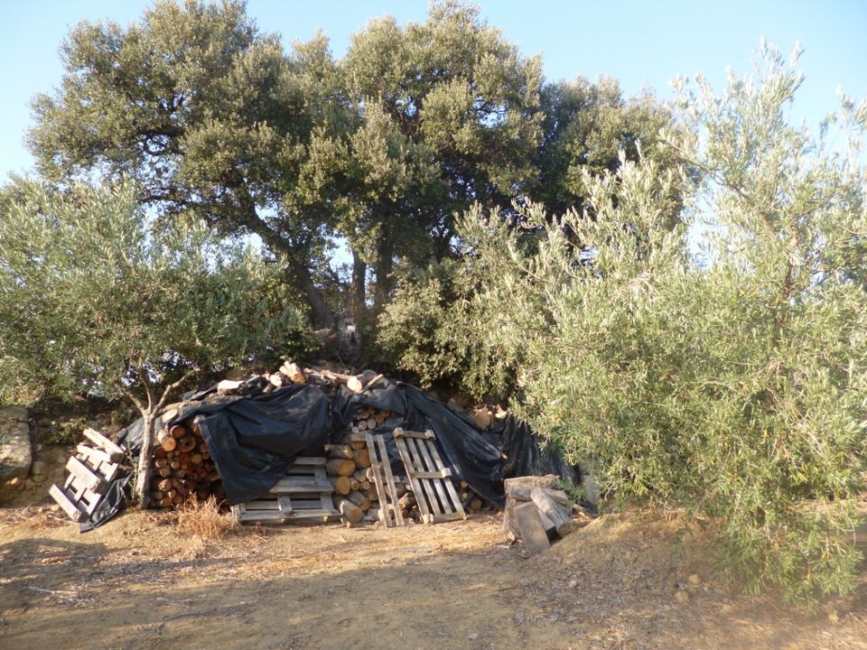 Helårsgrund i Olvera, Cadiz - foto 5