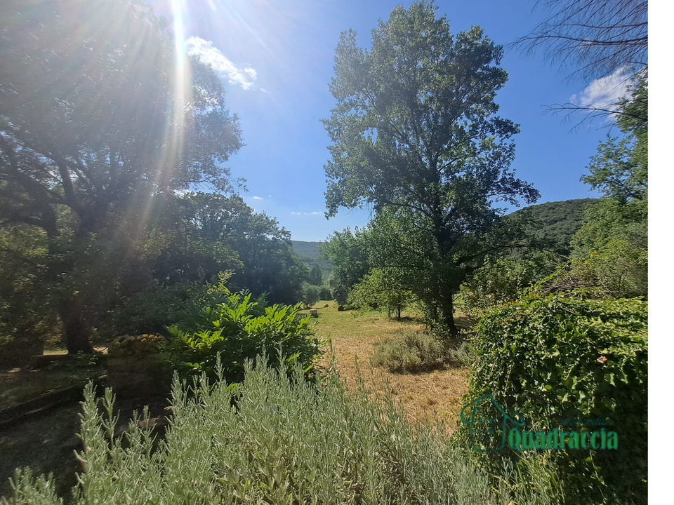 Villa in Amelia, Terni - foto 2