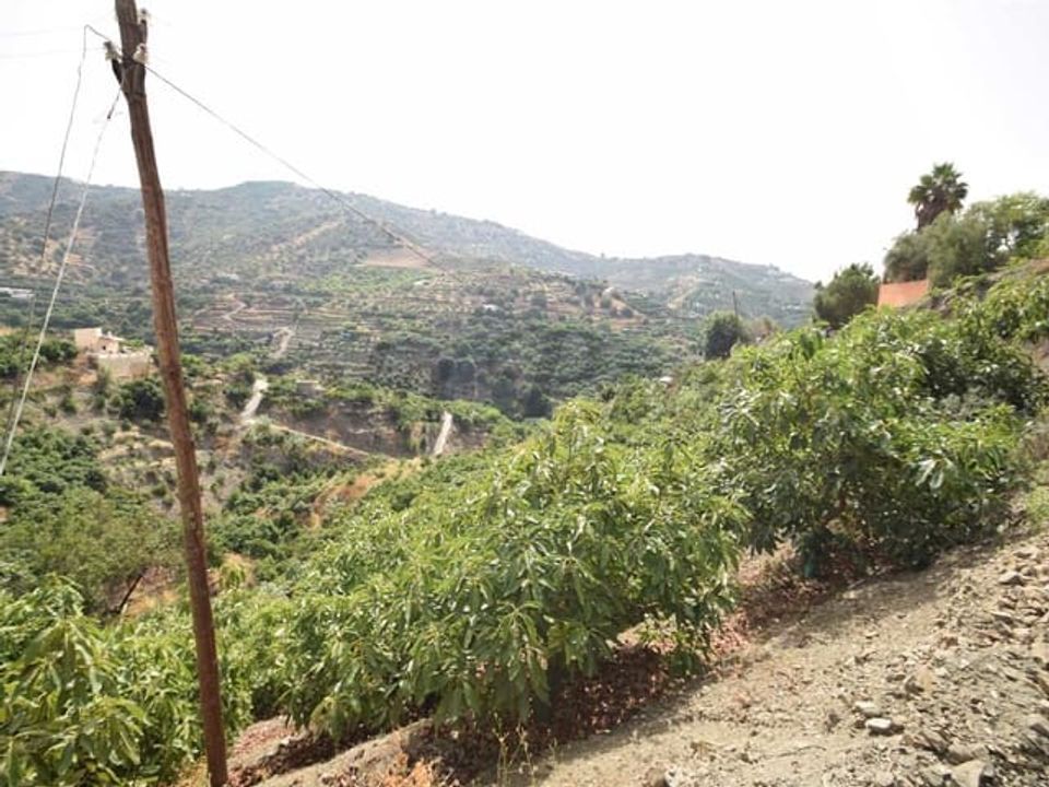 Helårsgrund i Torrox, Malaga - foto 5