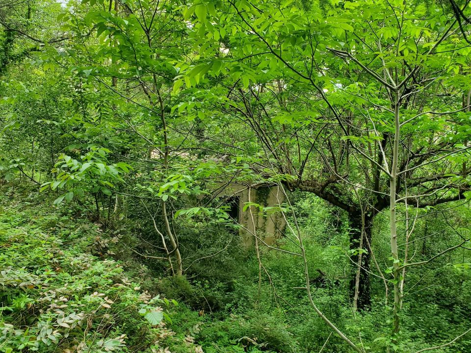 Helårsgrund i Espéraza, Aude - foto 4