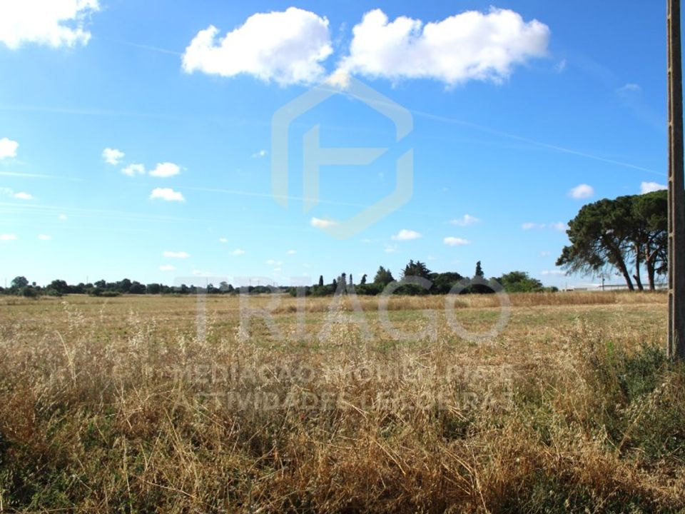 Helårsgrund i Benavente, Santarem - foto 1