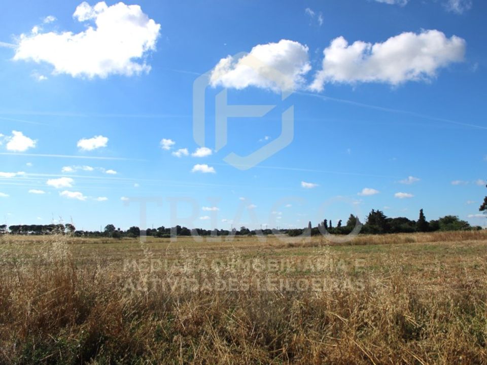 Helårsgrund i Benavente, Santarem - foto 2