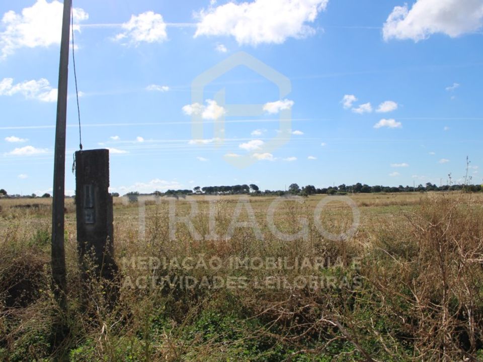 Helårsgrund i Benavente, Santarem - foto 4