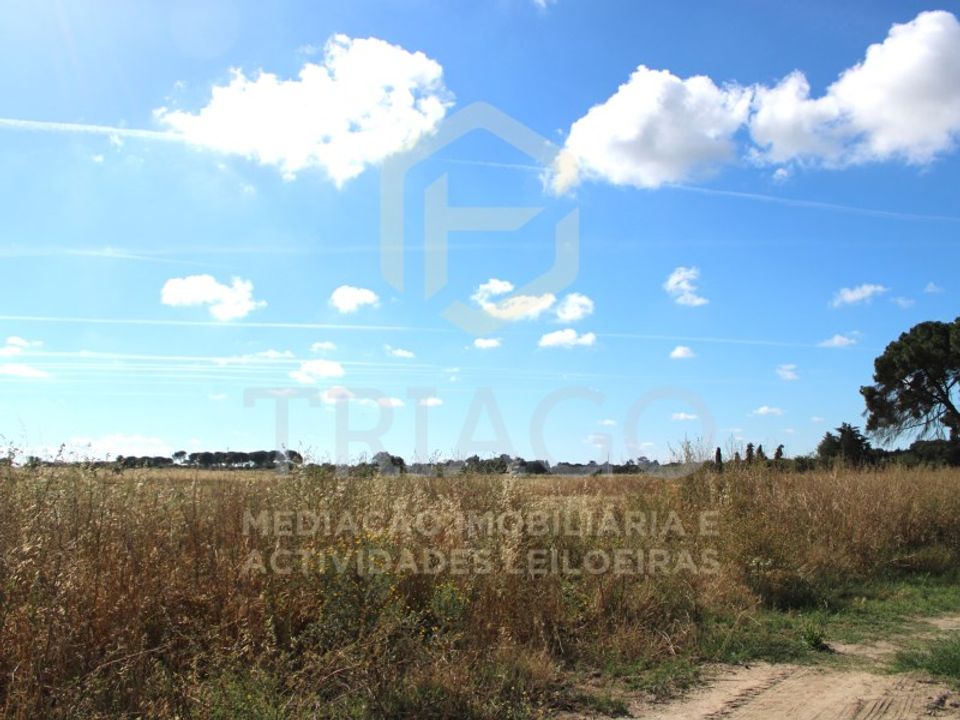 Helårsgrund i Benavente, Santarem - foto 5