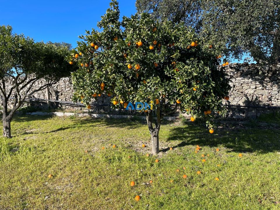 Helårsgrund i Alcains, Castelo Branco - foto 4
