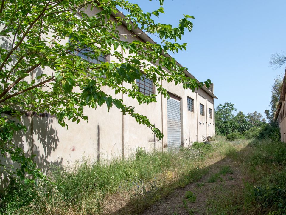 L'establiment comercial a Selargius, Cagliari - foto 4