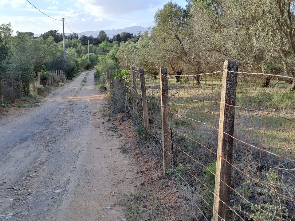 L'establiment comercial a Quartucciu, Cagliari - foto 2