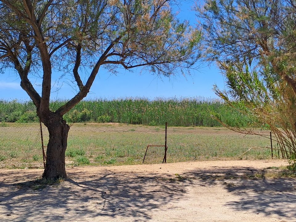 Erhvervsejendom i Quartu Sant'Elena, Cagliari - foto 2