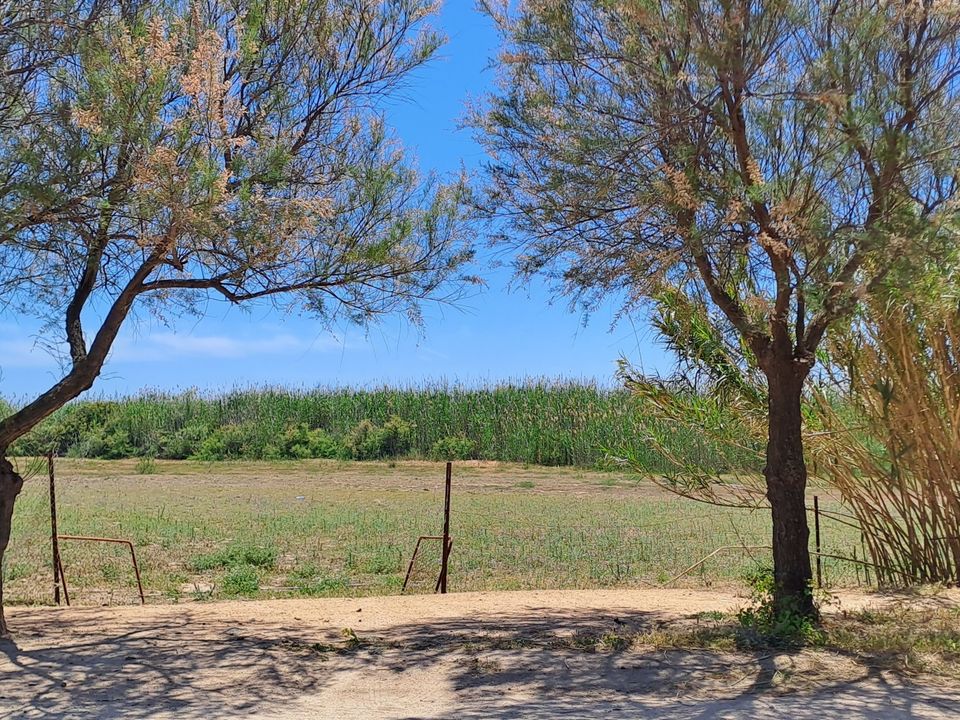 Erhvervsejendom i Quartu Sant'Elena, Cagliari - foto 4