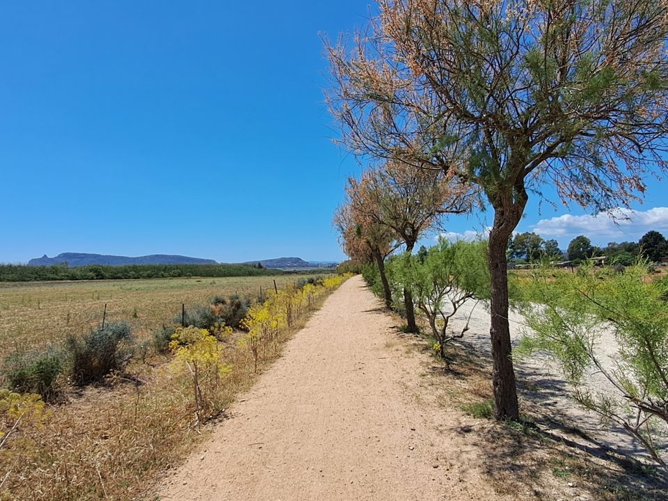 Erhvervsejendom i Quartu Sant'Elena, Cagliari - foto 1