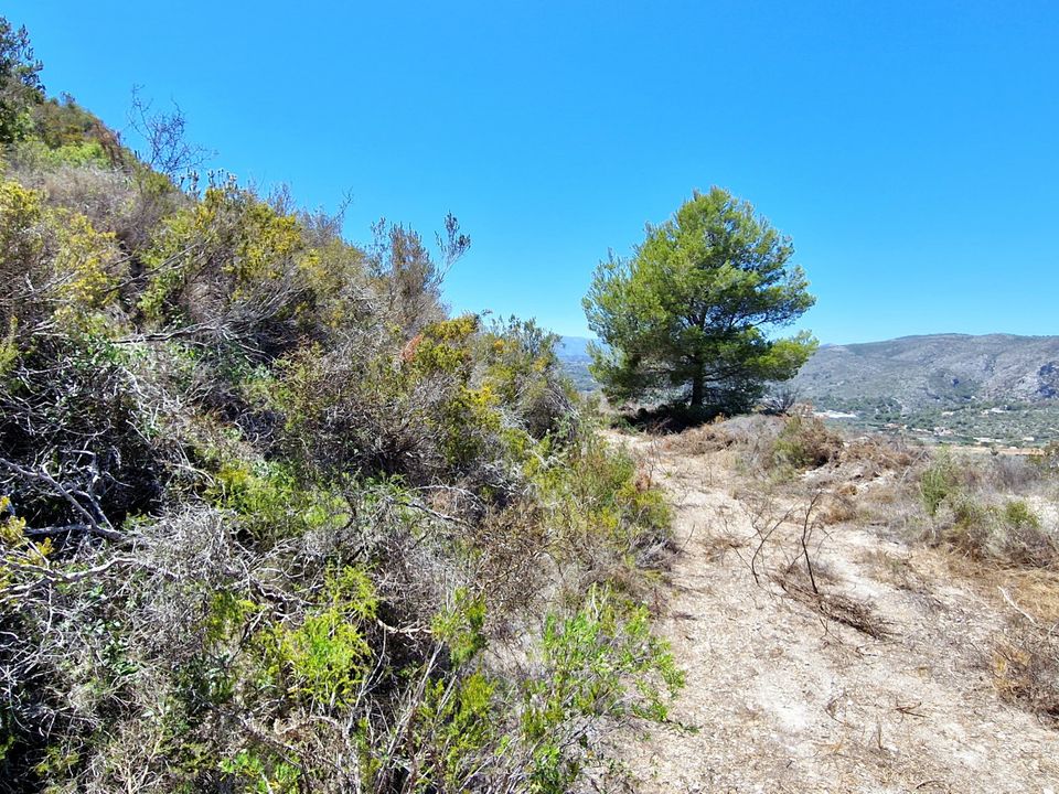Helårsgrund i Teulada, Alicante - foto 5