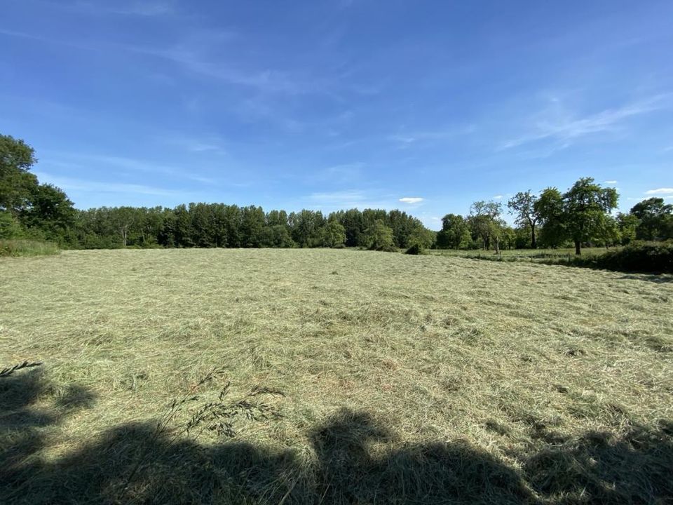 Helårsgrund i Pont-l'Évêque, Calvados - foto 2