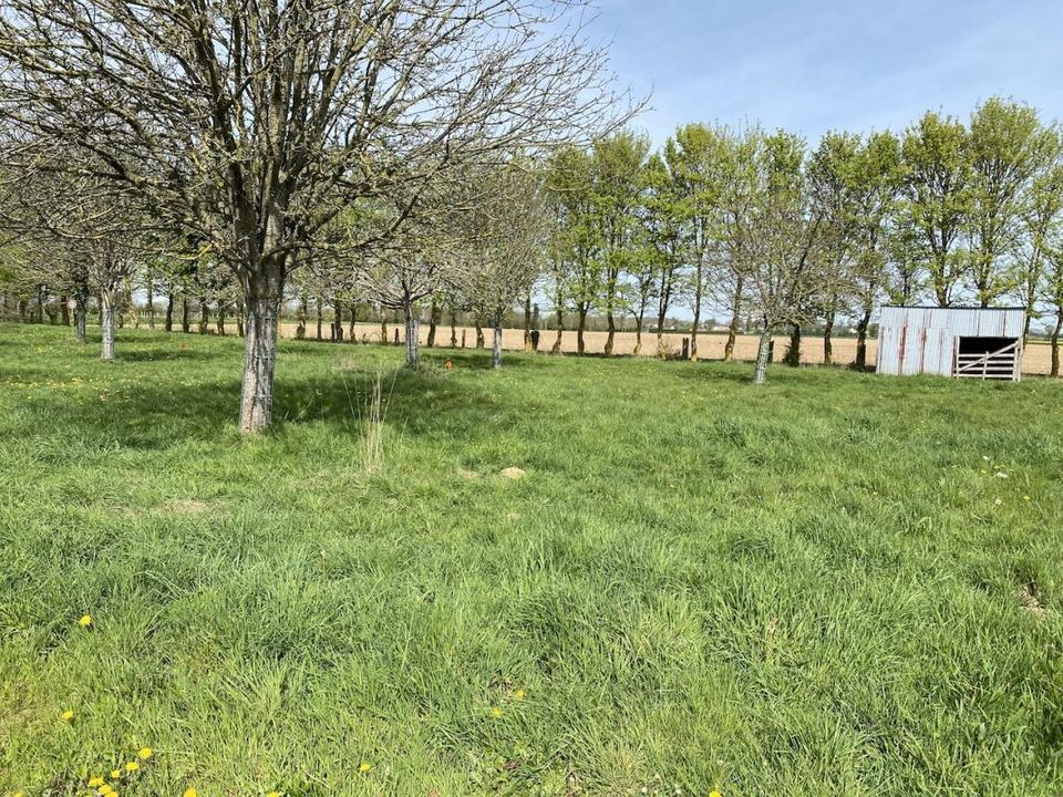 Tomt i Bayeux, Calvados - bilde 4