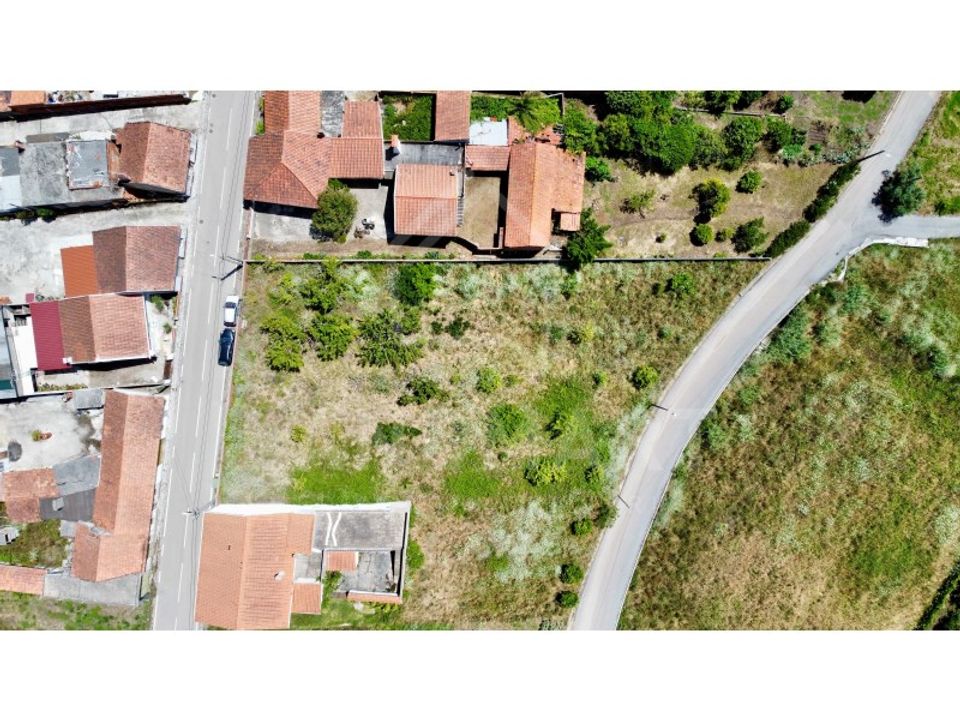 Helårsgrund i Alcobaca, Leiria - foto 4