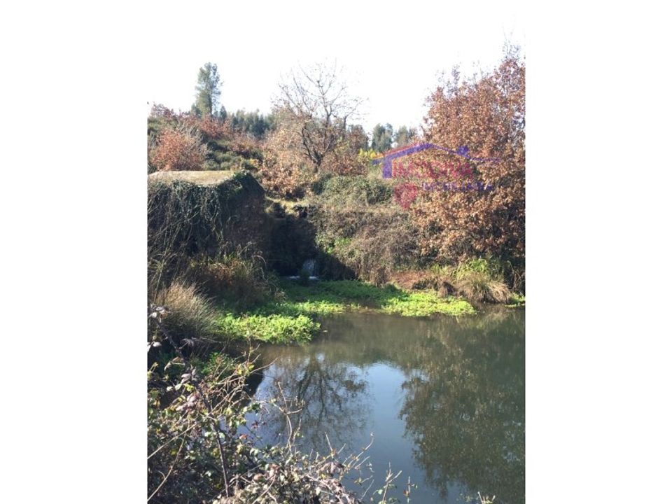 Landejendom i Pedrogao Grande, Leiria - foto 1