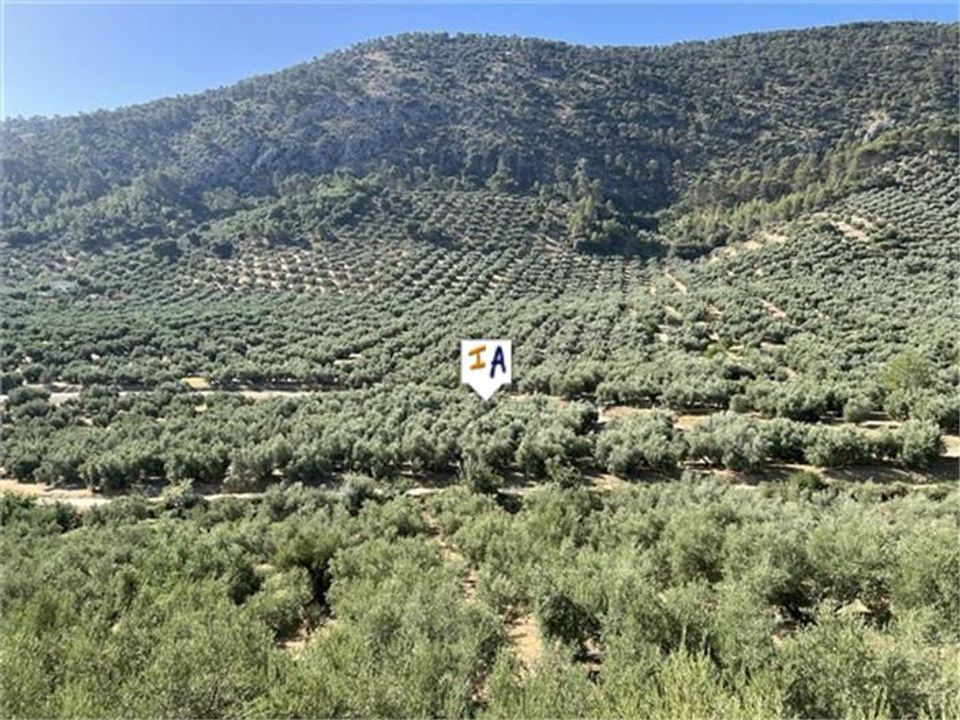 Cortijo i Rute, Cordoba - foto 3