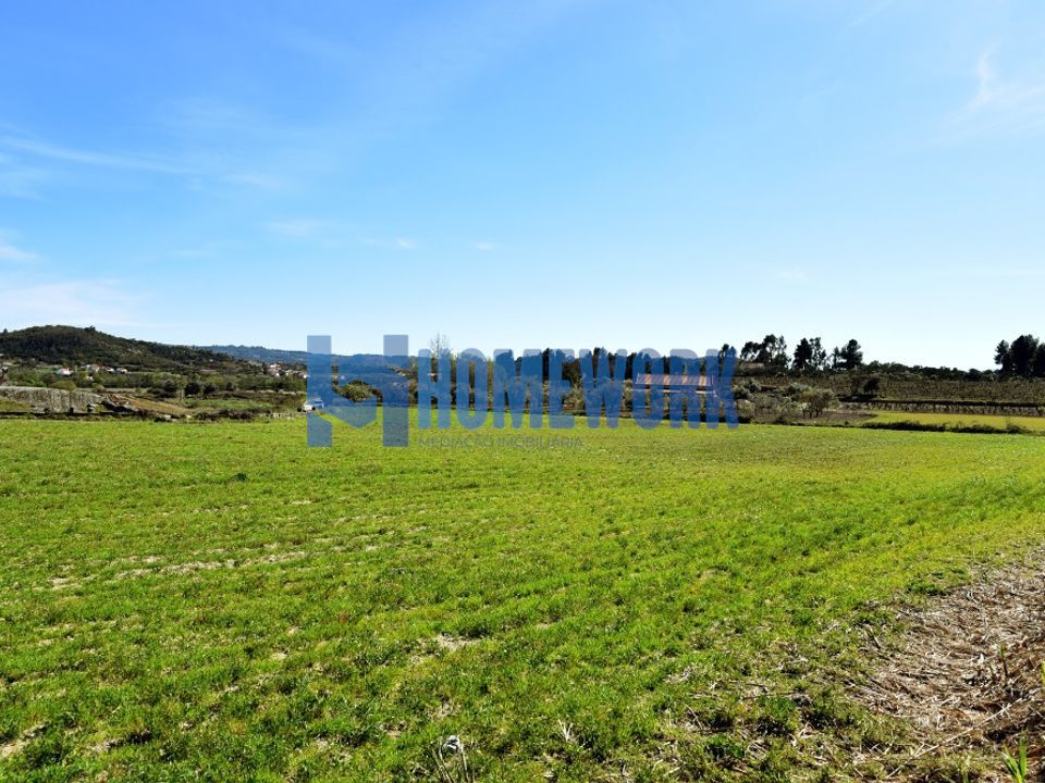 Byhus i Belmonte, Castelo Branco - foto 4