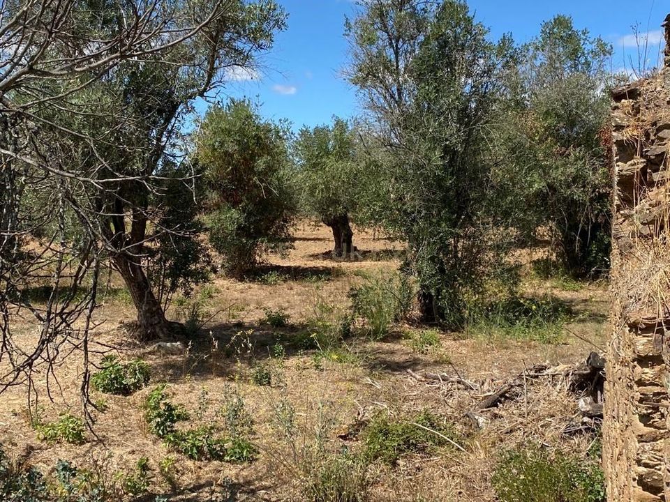 Helårsgrund i Serra, Santarem - foto 1