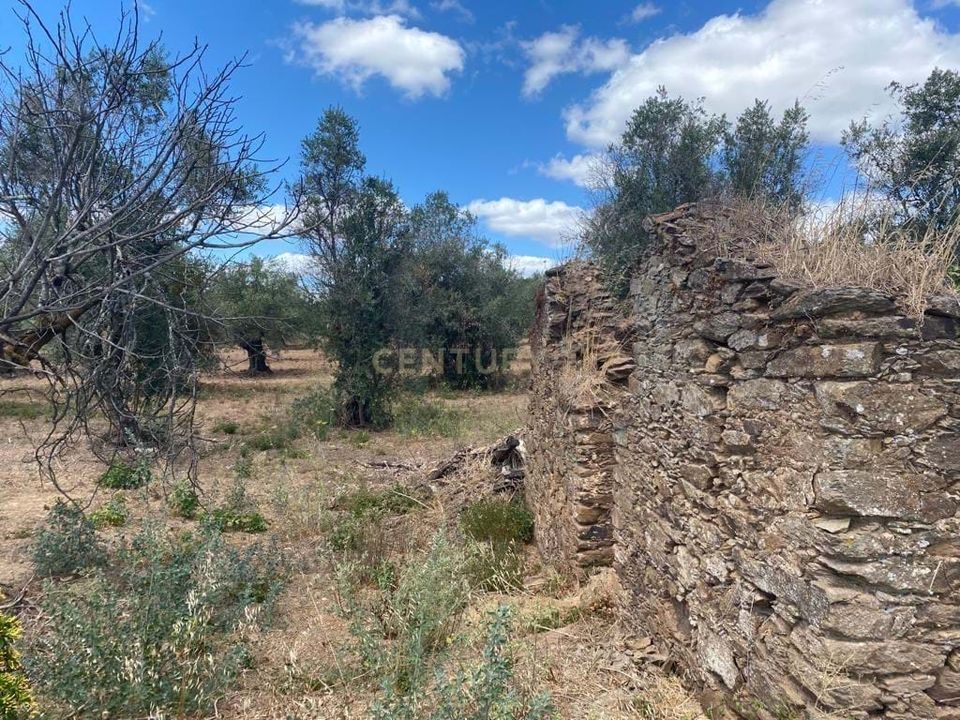 Helårsgrund i Serra, Santarem - foto 3