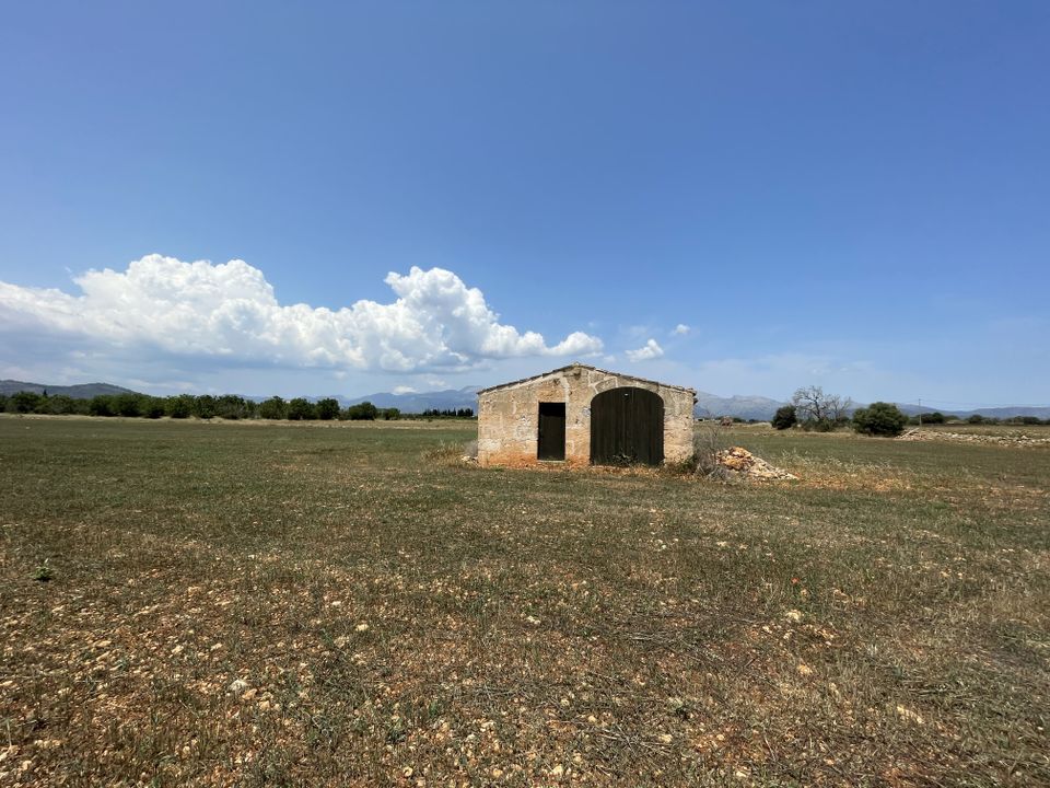 Tomt i Llubi, Mallorca - bilde 2