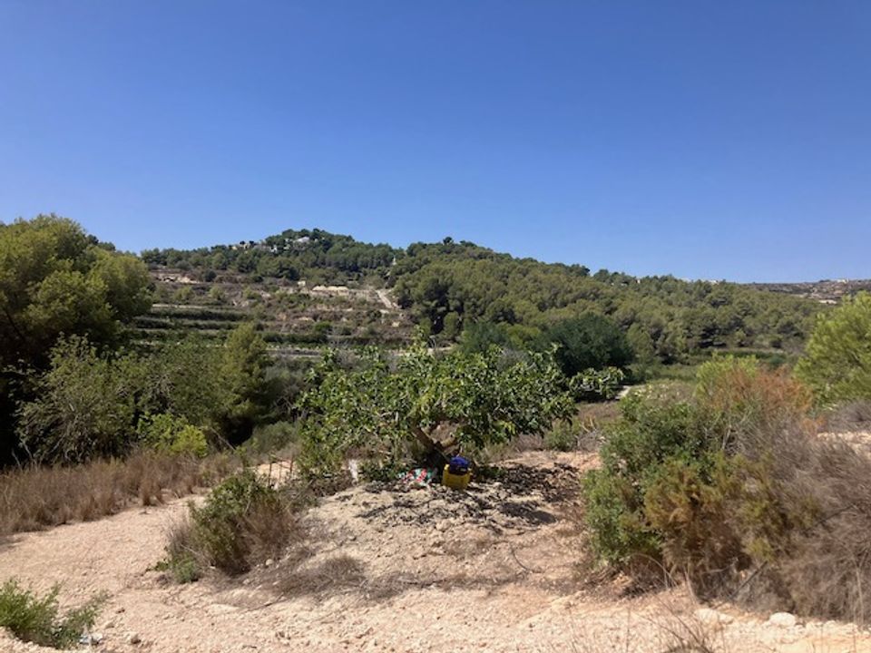 Helårsgrund i Teulada, Alicante - foto 3