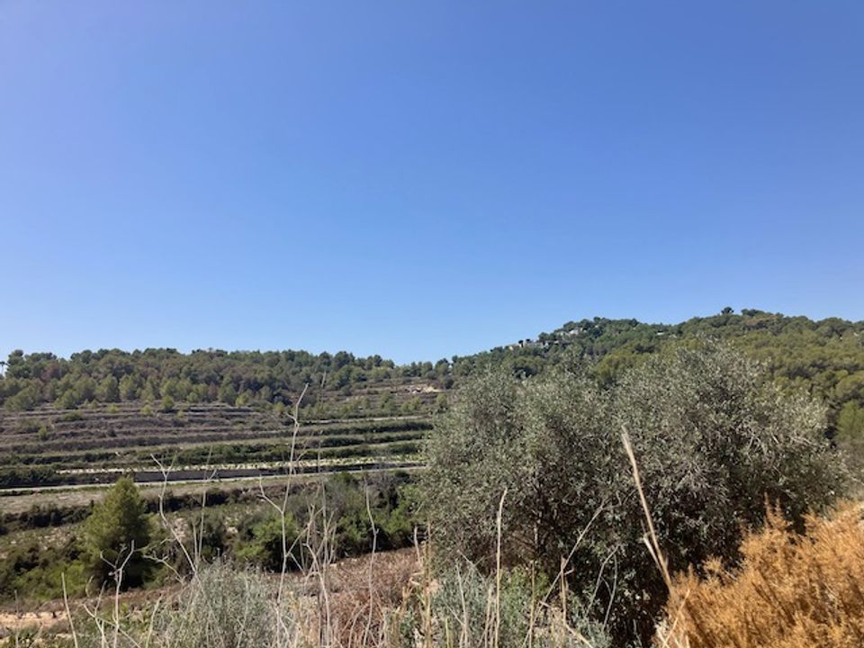 Helårsgrund i Teulada, Alicante - foto 4