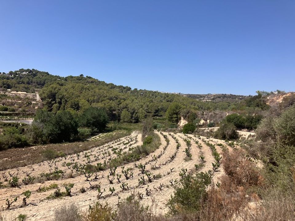 Helårsgrund i Teulada, Alicante - foto 5