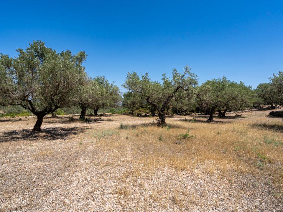 Finca i Mas De Barberans, Tarragona - foto 5