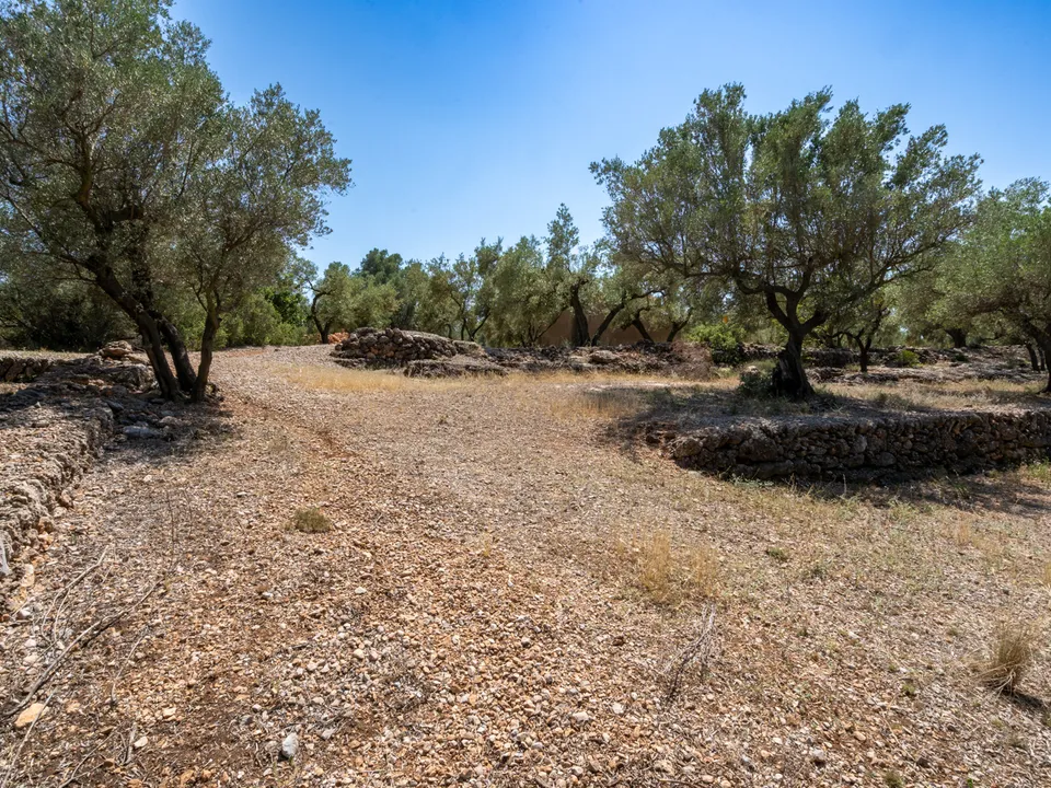 Finca i Mas De Barberans, Tarragona - foto 3