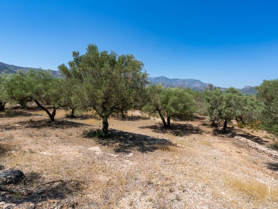 Finca i Mas De Barberans, Tarragona - foto 4