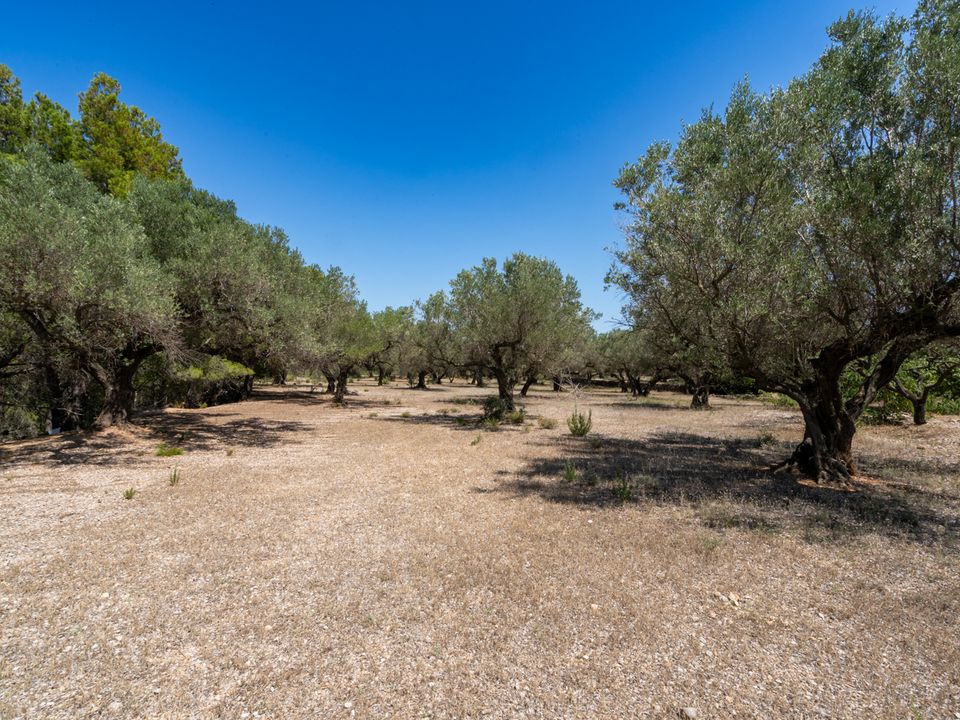 Finca i Mas De Barberans, Tarragona - foto 1