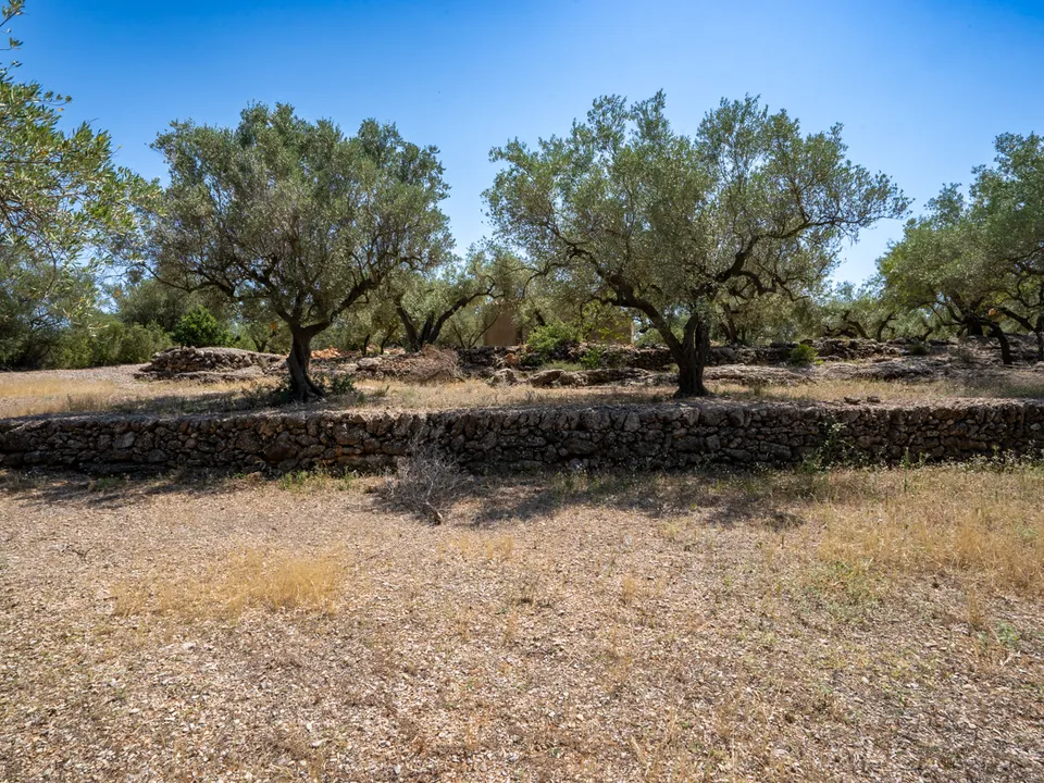 Finca i Mas De Barberans, Tarragona - foto 2