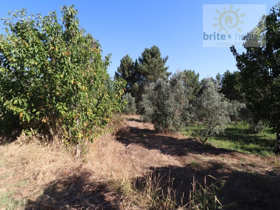 Helårsgrund i Serra, Santarem - foto 3