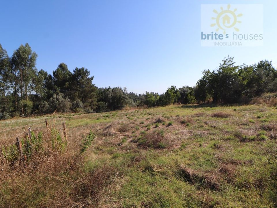 Helårsgrund i Serra, Santarem - foto 5