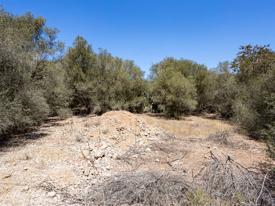 Helårsgrund i Marratxinet (Marratxi), Mallorca - foto 1