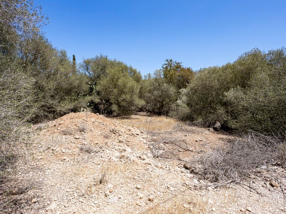 Helårsgrund i Marratxinet (Marratxi), Mallorca - foto 3