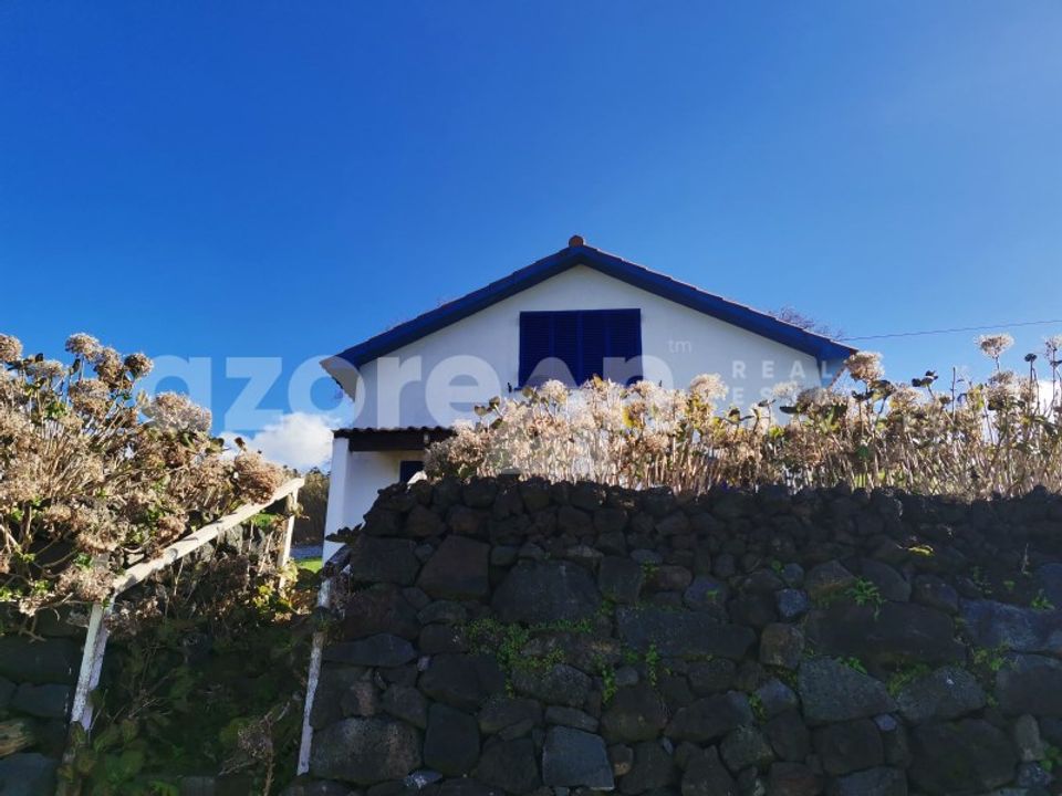 Maa Ponta Delgadassa, Sao Miguel - kuva 4