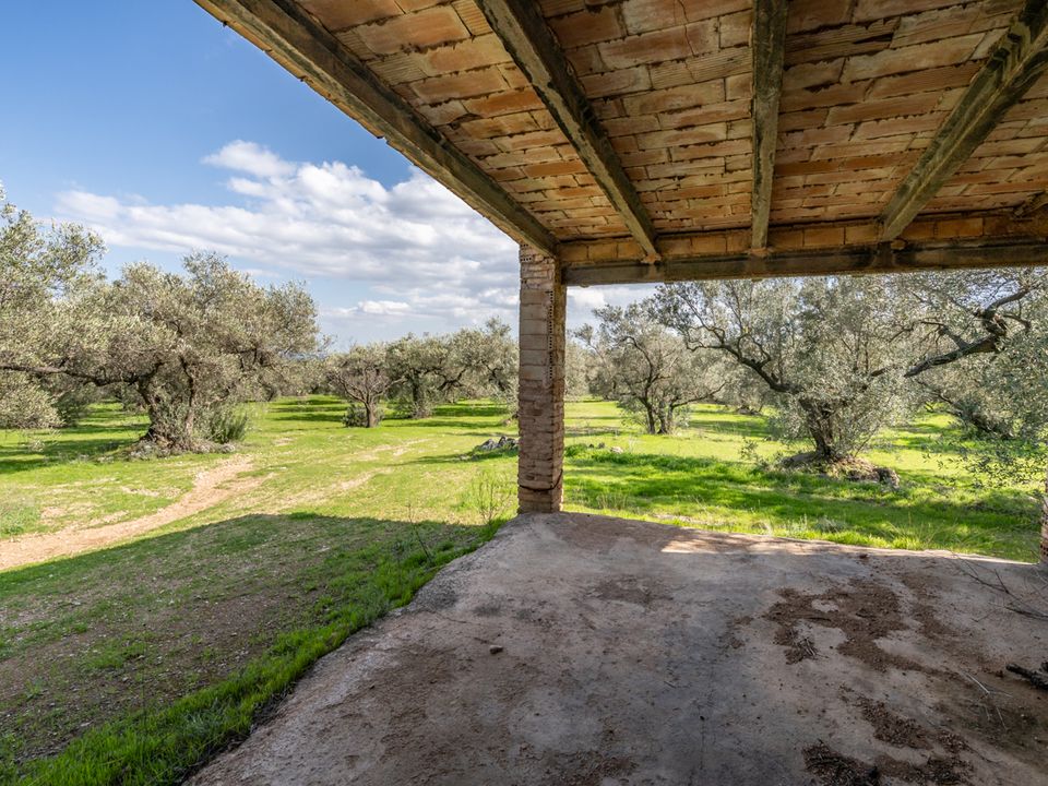 Finca a Roquetes, Tarragona - foto 4