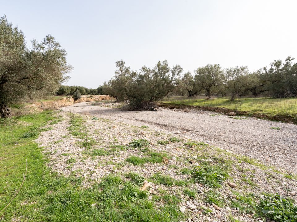 Finca i Mas De Barberans, Tarragona - foto 4