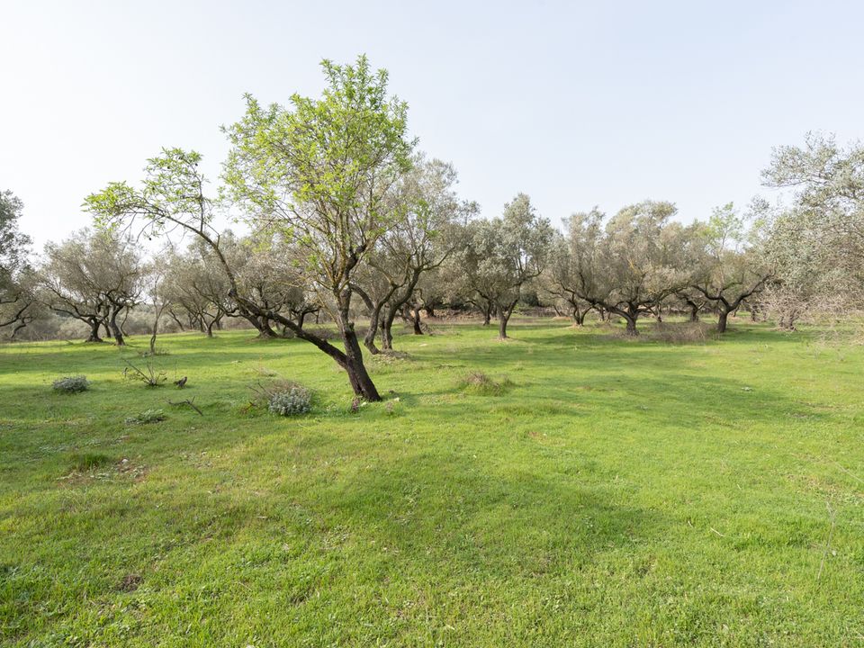 Finca i Mas De Barberans, Tarragona - foto 3