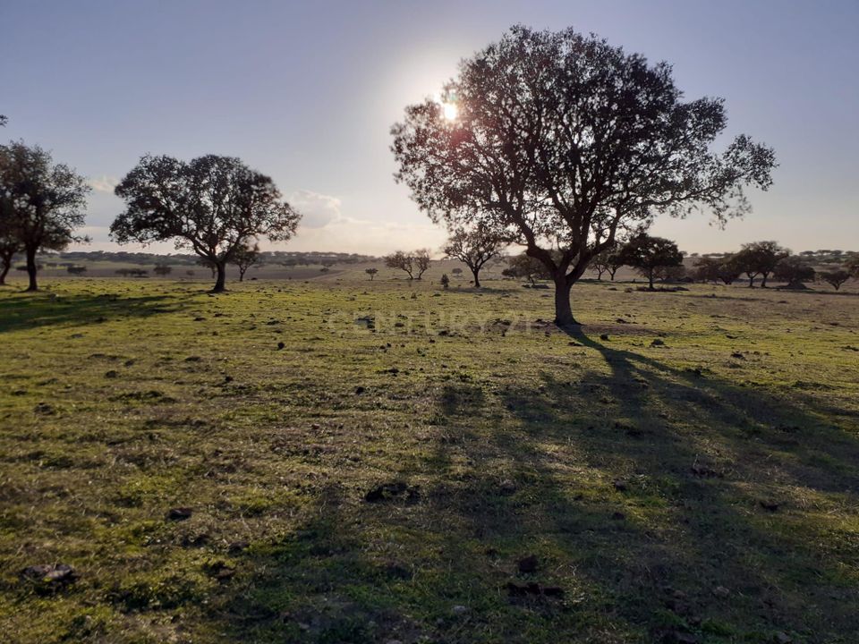 Helårsgrund i Alandroal, Evora - foto 1