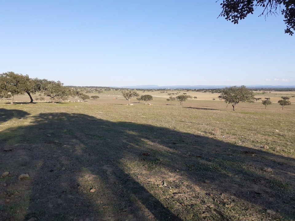 Helårsgrund i Alandroal, Evora - foto 5