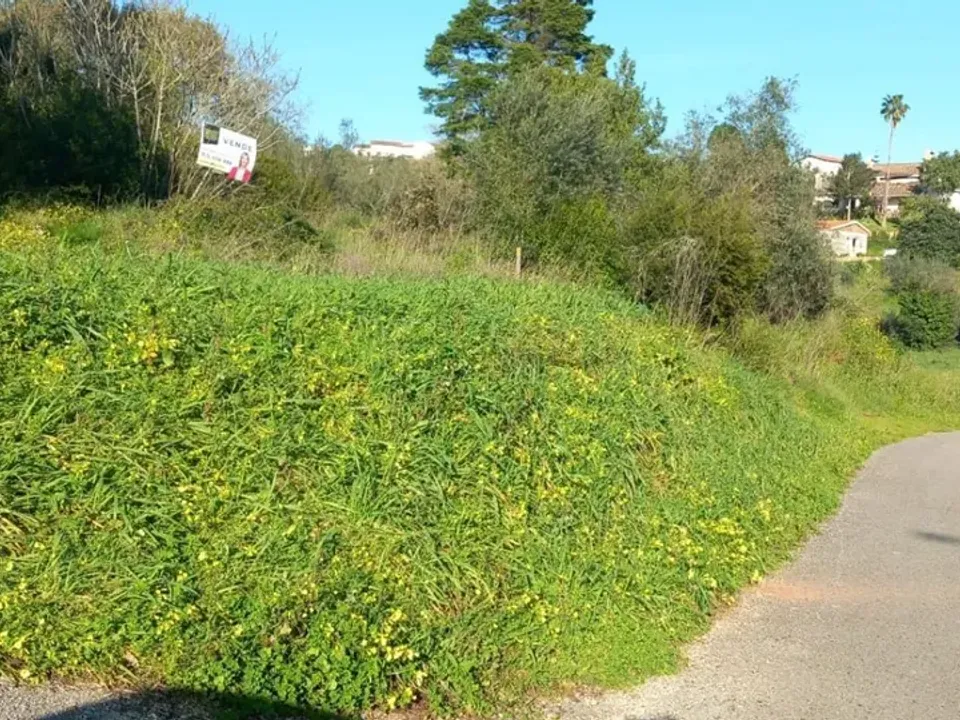 Helårsgrund i Coimbra, Coimbra - foto 1
